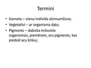 TerminiGameta – viena indivīda dzimumšūna;Veģetatīvi – ar organisma daļu;Pigments – dabiska krāsviela organismos, piemēram, acs pigments, kas piedod acu krāsu;