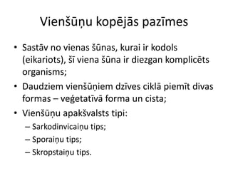 Vienšūņu kopējās pazīmesSastāv no vienas šūnas, kurai ir kodols (eikariots), šī viena šūna ir diezgan komplicēts organisms;Daudziem vienšūņiem dzīves ciklā piemīt divas formas – veģetatīvā forma un cista;Vienšūņu apakšvalsts tipi:Sarkodinvicaiņu tips;Sporaiņu tips;Skropstaiņu tips.