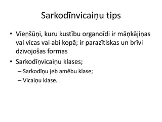 Sarkodīnvicaiņu tipsVieņšūņi, kuru kustību organoīdi ir māņkājiņas vai vicas vai abi kopā; ir parazītiskas un brīvi dzīvojošas formasSarkodīņvicaiņu klases;Sarkodīņu jeb amēbu klase;Vicaiņu klase.