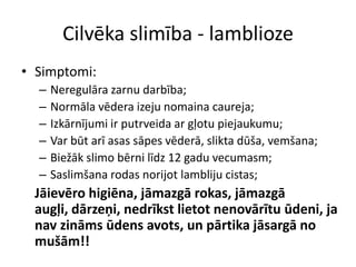 Cilvēka slimība - lambliozeSimptomi:Neregulāra zarnu darbība;Normāla vēdera izeju nomaina caureja;Izkārnījumi ir putrveida ar gļotu piejaukumu;Var būt arī asas sāpes vēderā, slikta dūša, vemšana;Biežāk slimo bērni līdz 12 gadu vecumasm;Saslimšana rodas norijot lambliju cistas;	Jāievēro higiēna, jāmazgā rokas, jāmazgā augļi, dārzeņi, nedrīkst lietot nenovārītu ūdeni, ja nav zināms ūdens avots, un pārtika jāsargā no mušām!!