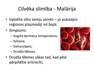 Cilvēka slimība - MalārijaIzplatīta silto zemju zemēs – jo aukstajos reģionos plazmodiji iet bojā;Simptomi:Augsta ķermeņa temperatūra;Svīšana;Galvassāpes;Drudža lēkmes.Drudža lēkmes sākas tad, kad plīst pārpildītie eritrocīti;