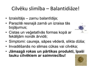Cilvēku slimība – Balantidiāze!Izraisītājs – zarnu balantīdija;Parazitē resnajā zarnā un izraisa tās bojājumus;Cistas un veģetatīvās formas kopā ar fekālijām nonāk ārvidē;Simptomi: caureja, sāpes vēderā, slikta dūša;Invadēšanās no slimas cūkas vai cilvēka;Jāmazgā rokas un pārtikas produkti, īpaši lauku cilvēkiem ar saimniecību!