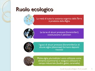 Ruolo ecologico




                  Scuola Secondaria Bolgare. Prof. Locatelli   5
 