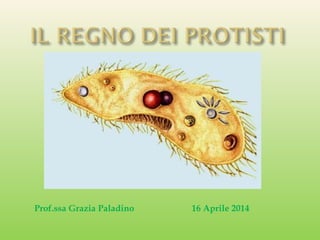 Prof.ssa Grazia Paladino 16 Aprile 2014
 