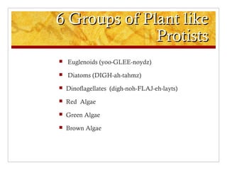 6 Groups of Plant like6 Groups of Plant like
ProtistsProtists
 Euglenoids (yoo-GLEE-noydz)
 Diatoms (DIGH-ah-tahmz)
 Dinoflagellates (digh-noh-FLAJ-eh-layts)
 Red Algae
 Green Algae
 Brown Algae
 
