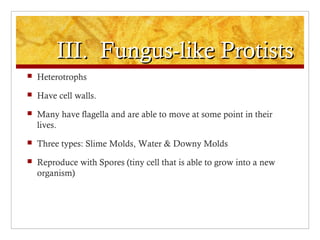 III. Fungus-like ProtistsIII. Fungus-like Protists
 Heterotrophs
 Have cell walls.
 Many have flagella and are able to move at some point in their
lives.
 Three types: Slime Molds, Water & Downy Molds
 Reproduce with Spores (tiny cell that is able to grow into a new
organism)
 