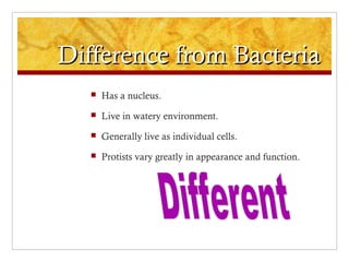 Difference from BacteriaDifference from Bacteria
 Has a nucleus.
 Live in watery environment.
 Generally live as individual cells.
 Protists vary greatly in appearance and function.
 