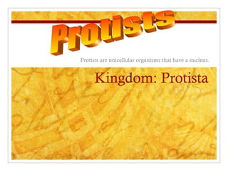 Kingdom: Protista
Protists are unicellular organisms that have a nucleus.
 