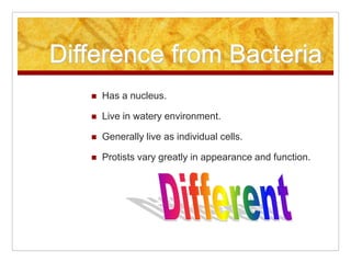 Difference from Bacteria
 Has a nucleus.
 Live in watery environment.
 Generally live as individual cells.
 Protists v...