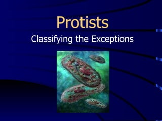 Protists Classifying the Exceptions 