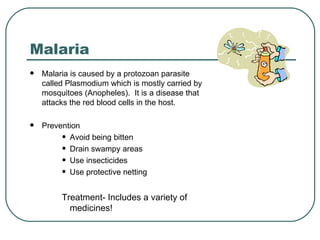 Protozoan Insecticide Protists | PPT