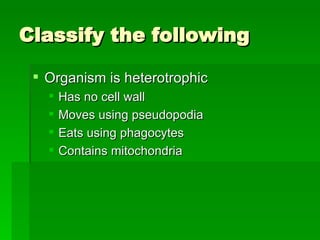 Classify the following Organism is heterotrophic Has no cell wall Moves using pseudopodia Eats using phagocytes Contains mitochondria 