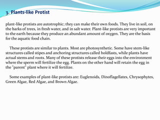 3. Plants-like Protist

plant-like protists are autotrophic; they can make their own foods. They live in soil, on
the barks of trees, in fresh water, and in salt water. Plant-like protists are very important
to the earth because they produce an abundant amount of oxygen. They are the basis
for the aquatic food chain.

   These protists are similar to plants. Most are photosynthetic. Some have stem-like
structures called stipes and anchoring structures called holdfasts, while plants have
actual stems and roots. Many of these protists release their eggs into the environment
where the sperm will fertilize the egg. Plants on the other hand will retain the egg in
the "parent" plant where it will fertilize.

  Some examples of plant-like protists are: Euglenoids, Dinoflagellates, Chrysophytes,
Green Algae, Red Algae, and Brown Algae.
 