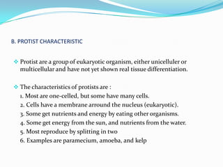 B. PROTIST CHARACTERISTIC


 Protist are a group of eukaryotic organism, either unicelluler or
   multicellular and have not yet shown real tissue differentiation.

 The characteristics of protists are :
   1. Most are one-celled, but some have many cells.
   2. Cells have a membrane arround the nucleus (eukaryotic).
   3. Some get nutrients and energy by eating other organisms.
   4. Some get energy from the sun, and nutrients from the water.
   5. Most reproduce by splitting in two
   6. Examples are paramecium, amoeba, and kelp
 