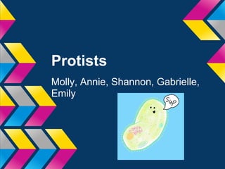 Protists
Molly, Annie, Shannon, Gabrielle,
Emily
 