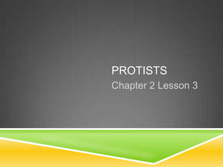PROTISTS
Chapter 2 Lesson 3
 