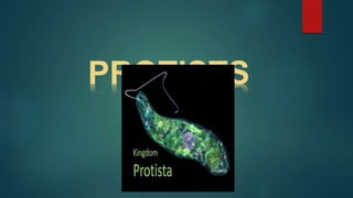 PROTISTS
 