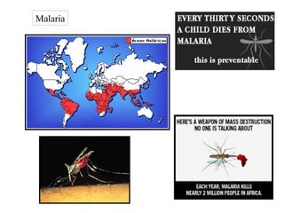 Malaria

 
