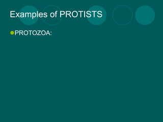 Examples of PROTISTS

PROTOZOA:
 