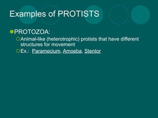 Examples of PROTISTS

PROTOZOA:
 Animal-like (heterotrophic) protists that have different
  structures for movement
 Ex.: Paramecium, Amoeba, Stentor
 