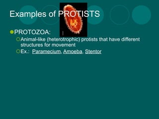 Examples of PROTISTS

PROTOZOA:
 Animal-like (heterotrophic) protists that have different
  structures for movement
 Ex.: Paramecium, Amoeba, Stentor
 