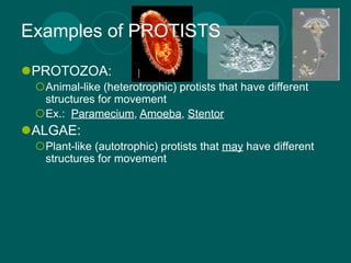 Examples of PROTISTS

PROTOZOA:
 Animal-like (heterotrophic) protists that have different
  structures for movement
 Ex.: Paramecium, Amoeba, Stentor
ALGAE:
 Plant-like (autotrophic) protists that may have different
  structures for movement
 