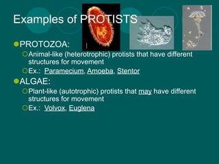 Examples of PROTISTS

PROTOZOA:
 Animal-like (heterotrophic) protists that have different
  structures for movement
 Ex.: Paramecium, Amoeba, Stentor
ALGAE:
 Plant-like (autotrophic) protists that may have different
  structures for movement
 Ex.: Volvox, Euglena
 