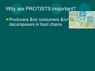 Why are PROTISTS important?

Producers &/or consumers &/or
 decomposers in food chains
 