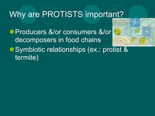 Why are PROTISTS important?

Producers &/or consumers &/or
 decomposers in food chains
Symbiotic relationships (ex.: protist &
 termite)
 