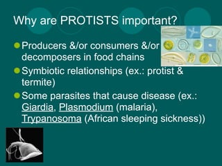 Why are PROTISTS important?

Producers &/or consumers &/or
 decomposers in food chains
Symbiotic relationships (ex.: protist &
 termite)
Some parasites that cause disease (ex.:
 Giardia, Plasmodium (malaria),
 Trypanosoma (African sleeping sickness))
 