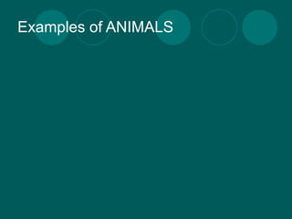 Examples of ANIMALS
 