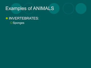 Examples of ANIMALS
 INVERTEBRATES:
  Sponges
 