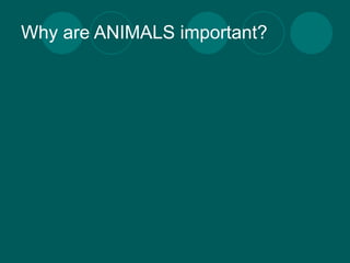Why are ANIMALS important?
 