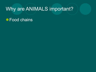 Why are ANIMALS important?

Food chains
 