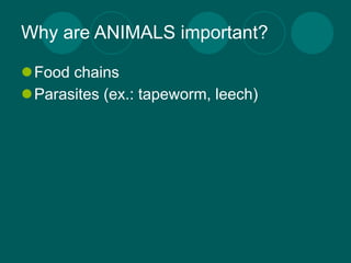 Why are ANIMALS important?

Food chains
Parasites (ex.: tapeworm, leech)
 
