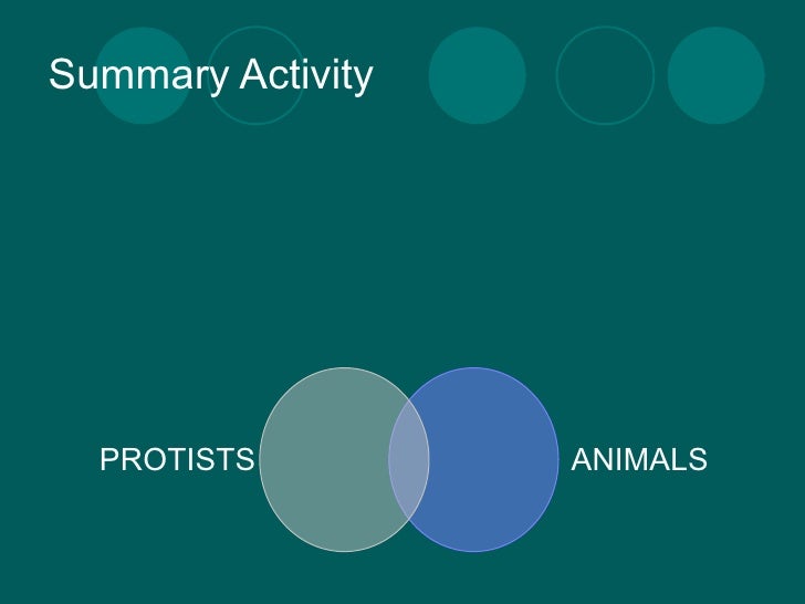 protists animals plants fungi unicellular and multicellular venn diagram