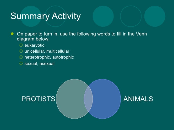 venn diagram plants under fontanacountryinn com plant animal venn diagram