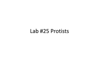 Lab #25 Protists

 