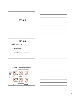 Protists+Part+1 | PPT