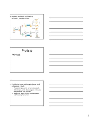 Protists+Part+1 | PPT