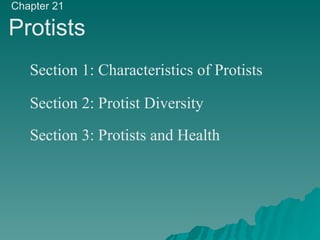 Chapter 21 Protists Section 1: Characteristics of Protists Section 2: Protist Diversity Section 3: Protists and Health 