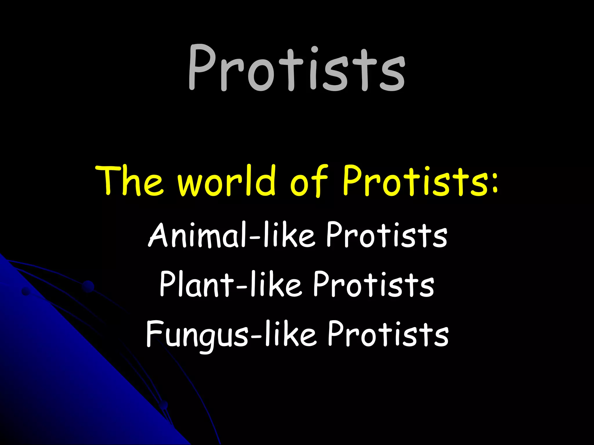Protists The world of Protists: Animal-like Protists Plant-like Protists Fungus-like Protists 