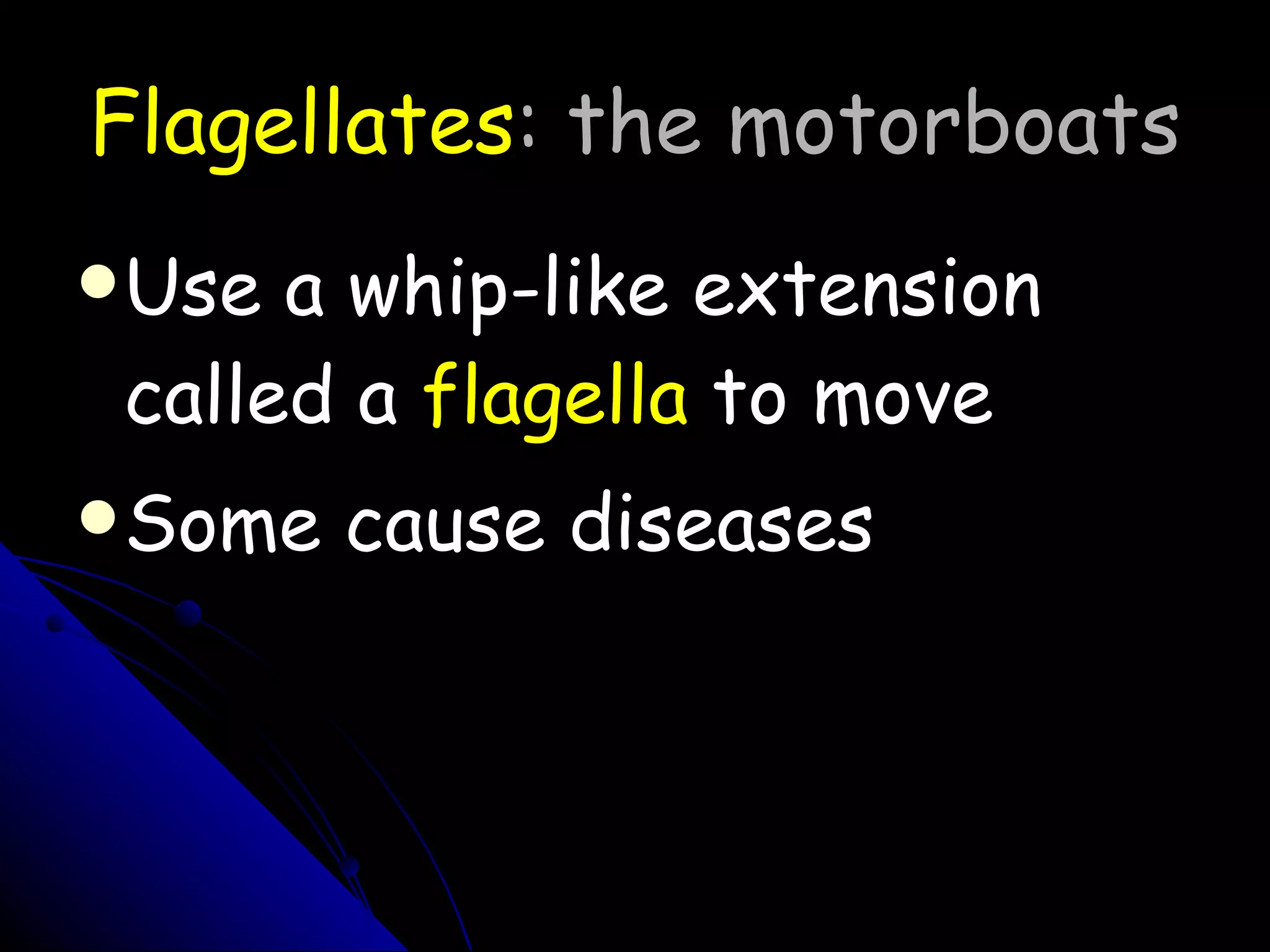 Flagellates : the motorboats Use a whip-like extension called a  flagella  to move Some cause diseases 
