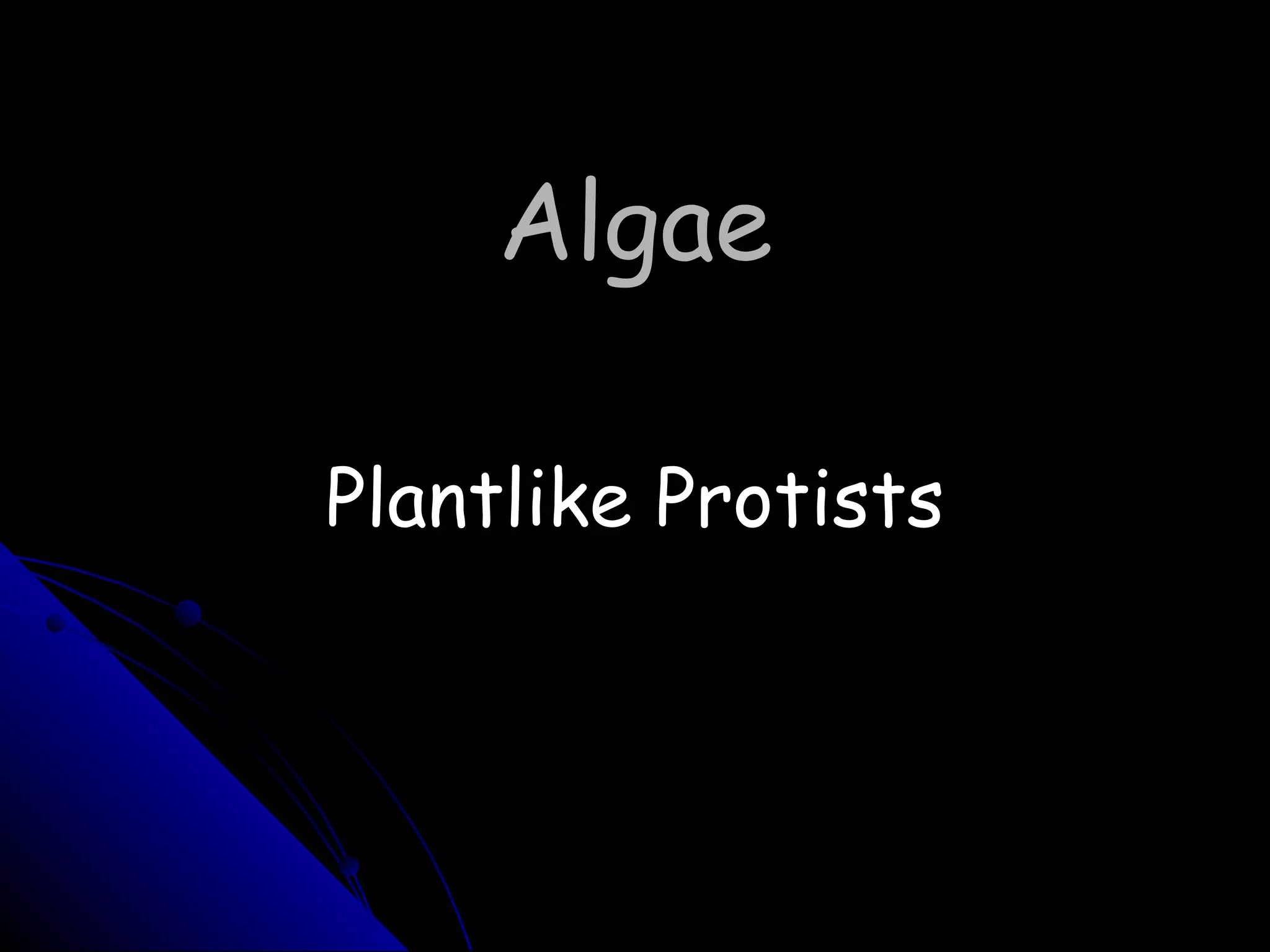 Algae Plantlike Protists 