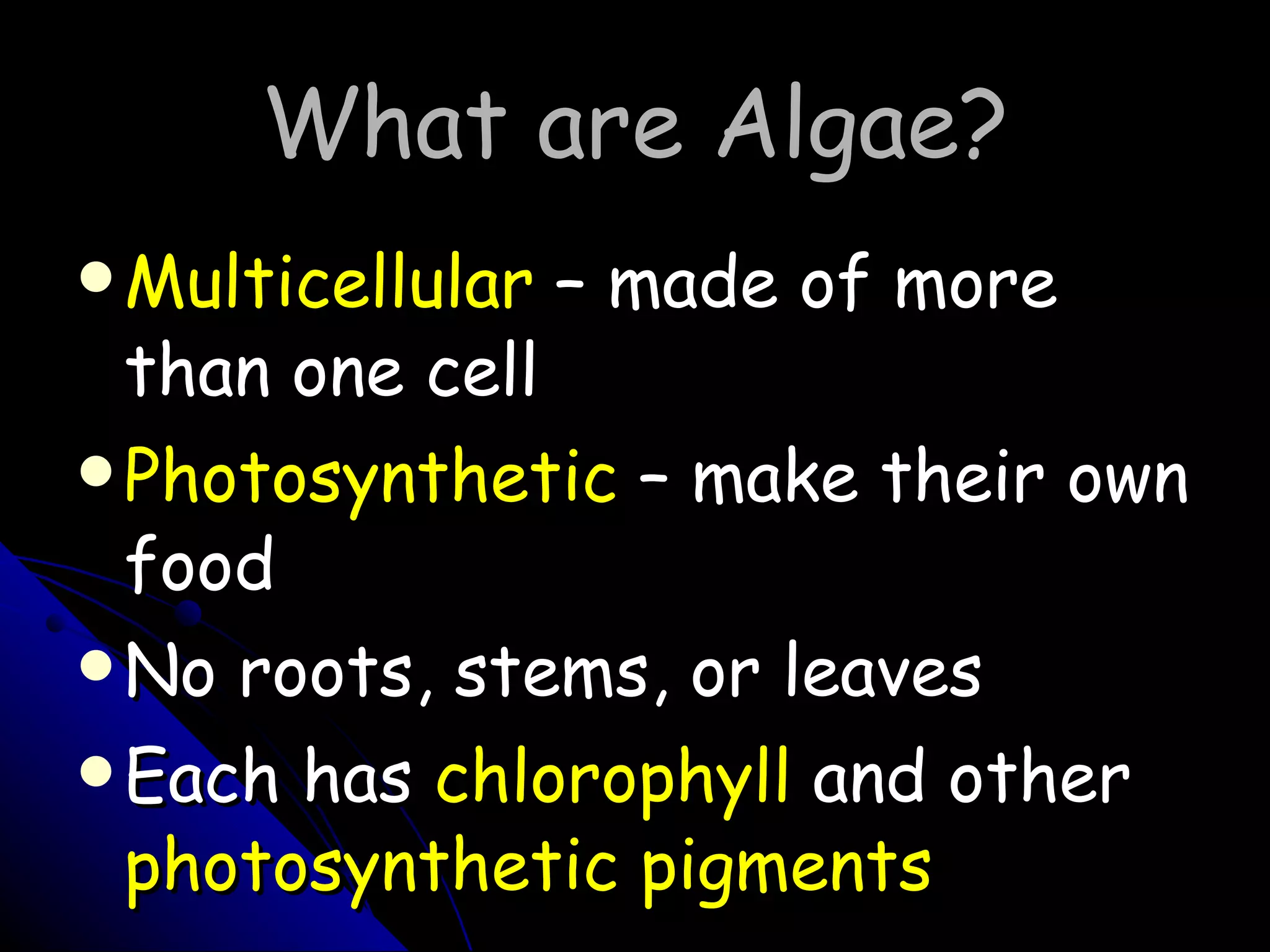 What are Algae? Multicellular  – made of more than one cell Photosynthetic  – make their own food No roots, stems, or leaves Each has  chlorophyll   and other  photosynthetic pigments 