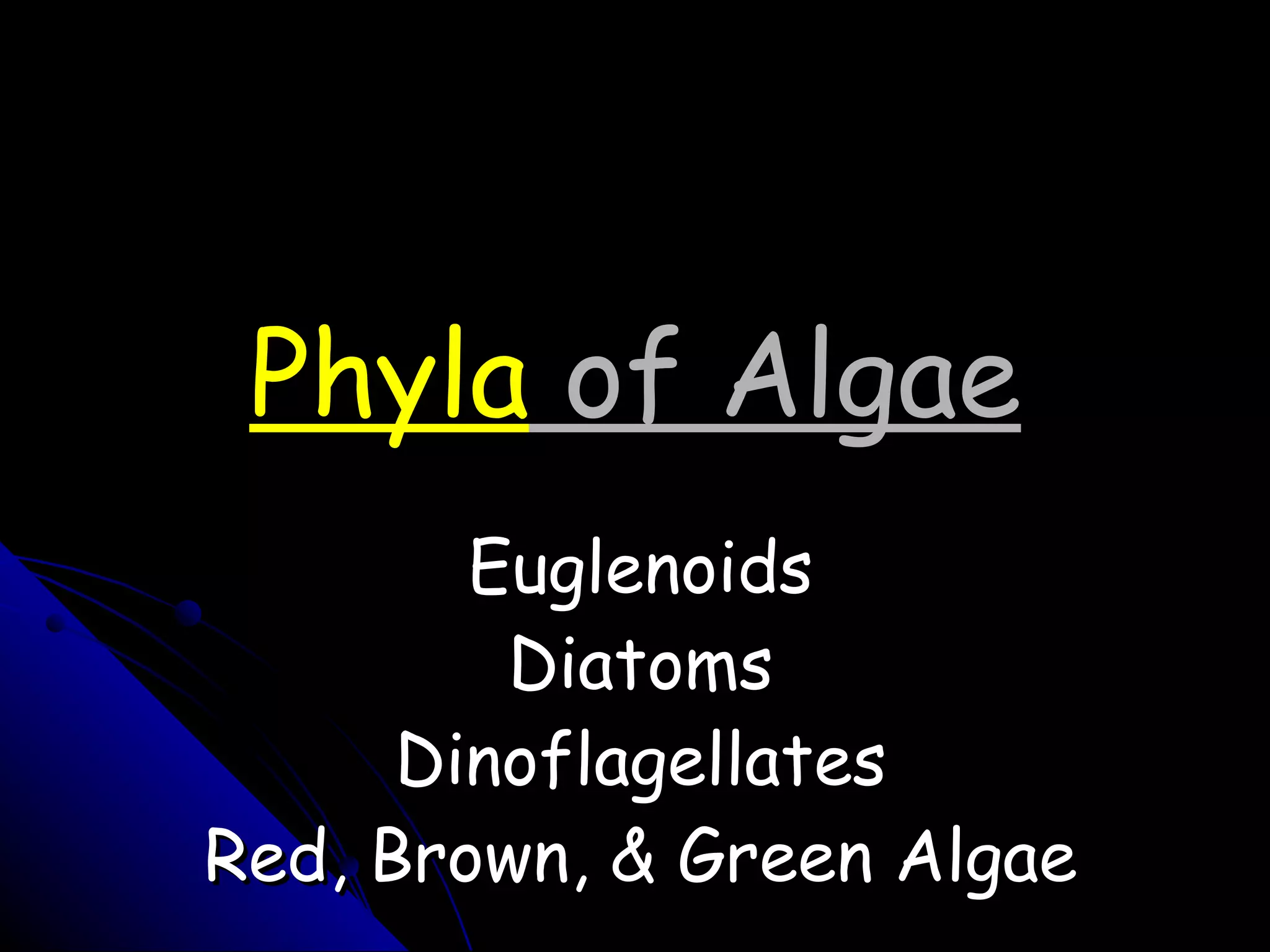 Phyla  of Algae Euglenoids Diatoms Dinoflagellates Red, Brown, & Green Algae 