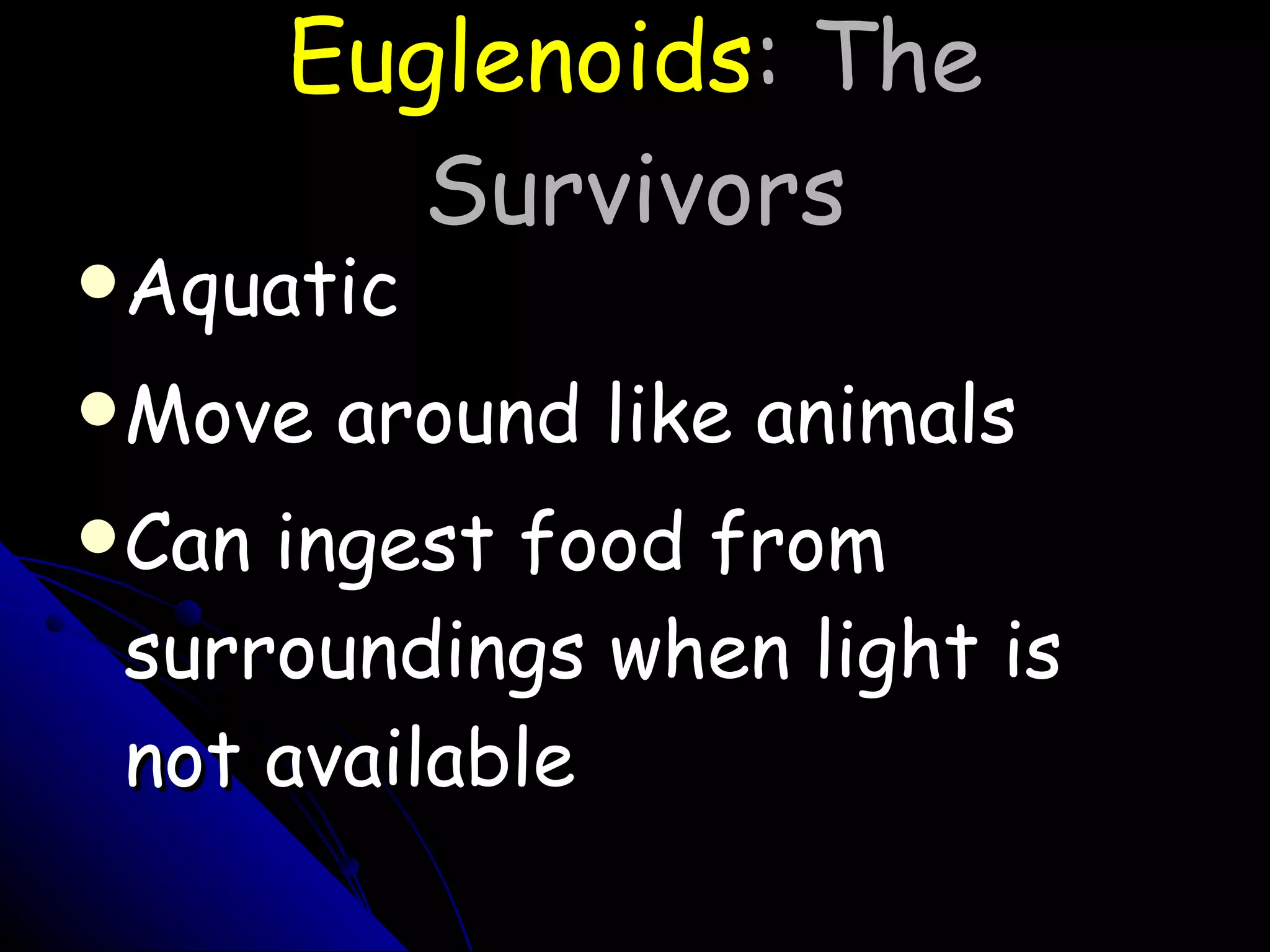 Euglenoids : The Survivors Aquatic Move around like animals Can ingest food from surroundings when light is not available 