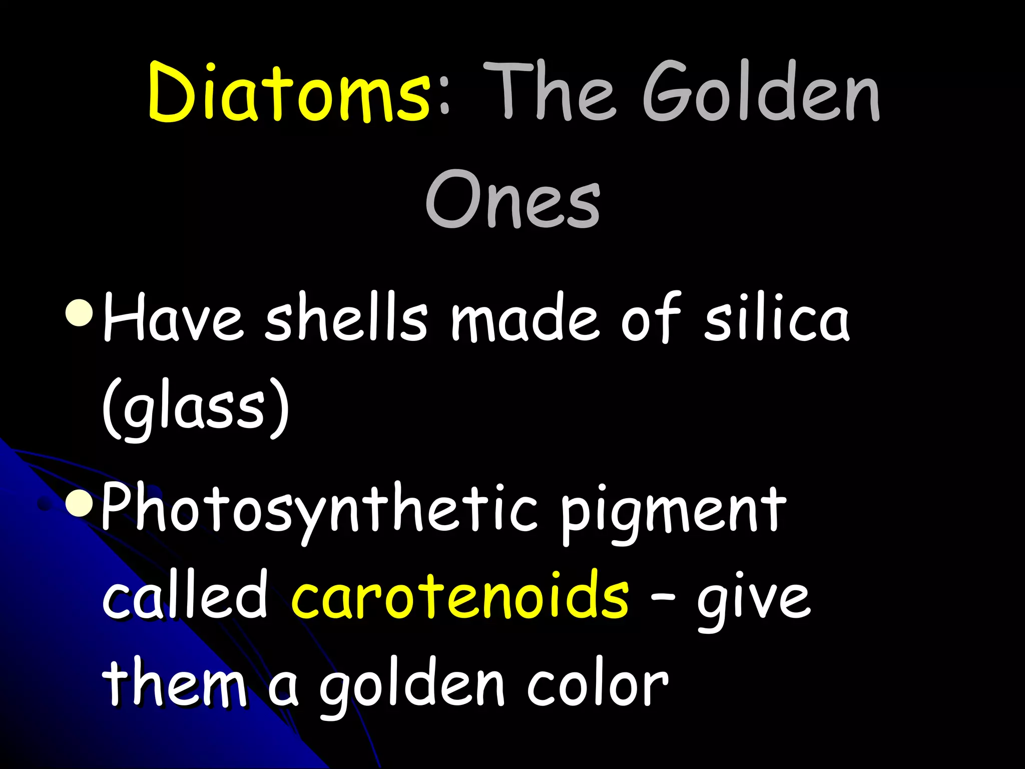 Diatoms : The Golden Ones Have shells made of silica (glass) Photosynthetic pigment called  carotenoids  – give them a golden color 