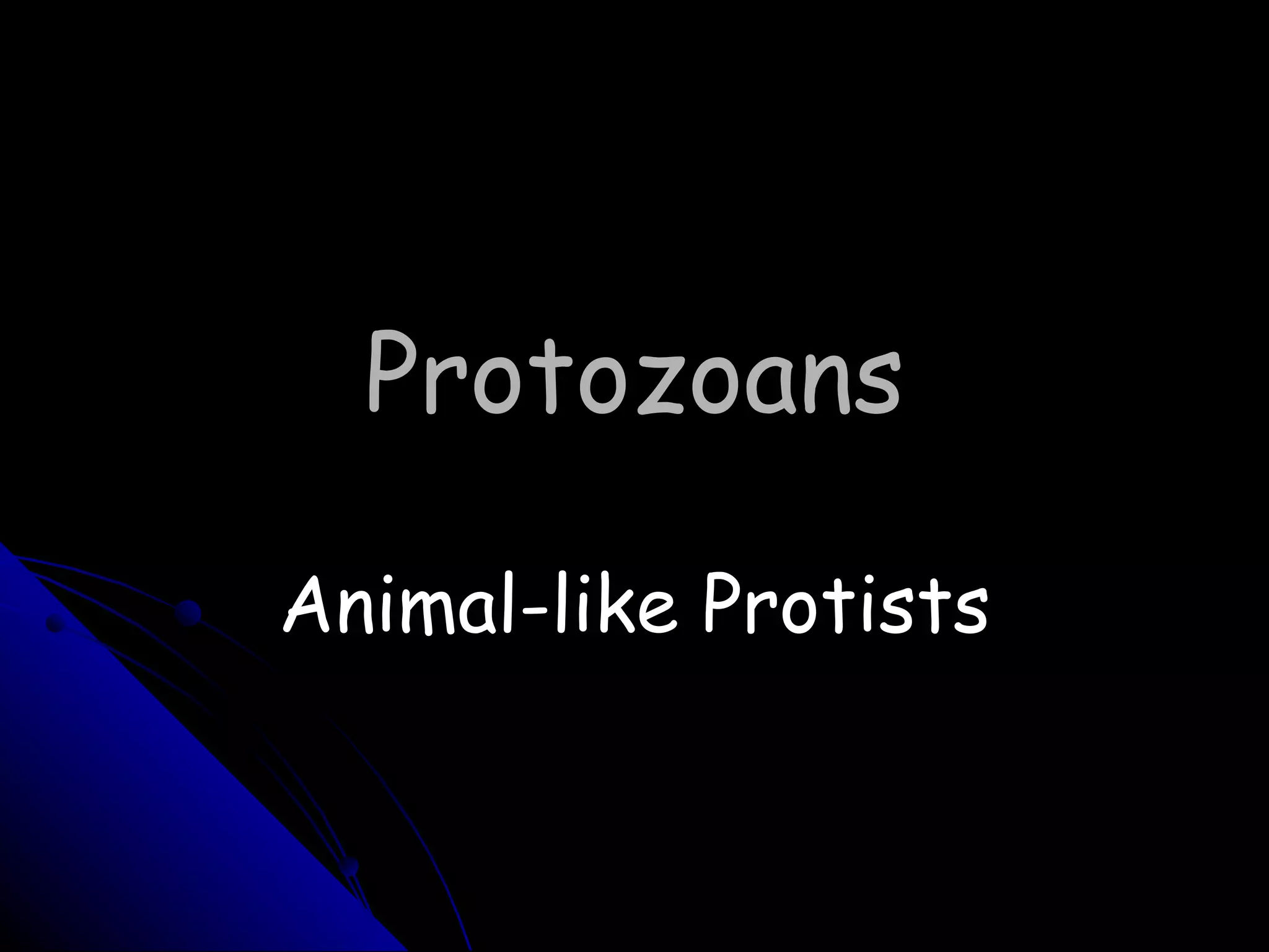 Protozoans Animal-like Protists 