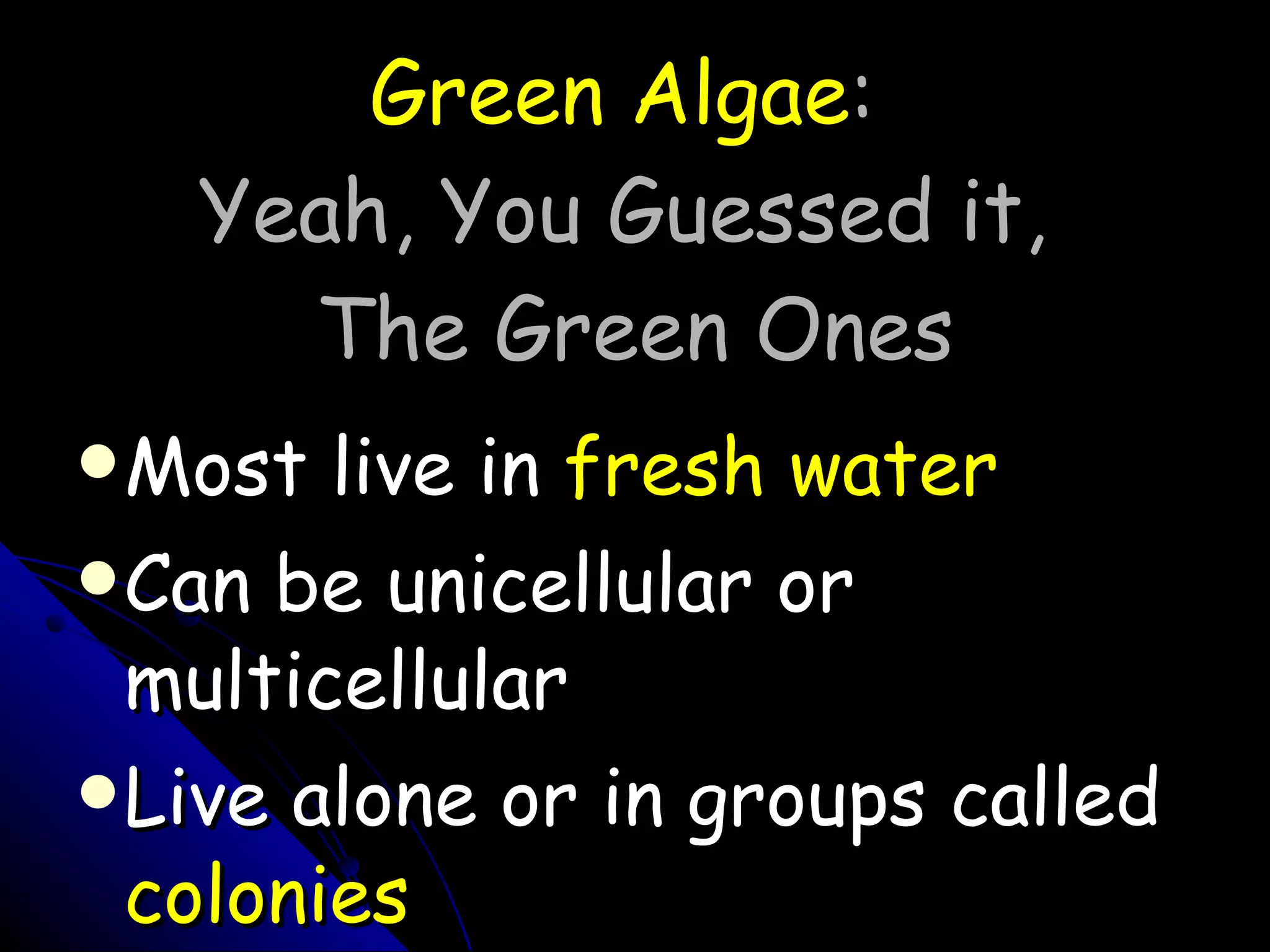 Green Algae :  Yeah, You Guessed it,  The Green Ones Most live in  fresh water Can be unicellular or multicellular Live alone or in groups called  colonies 